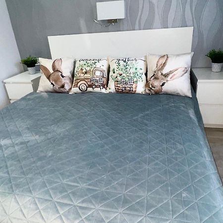 Downtown Dream Apartmans Szeged Esterno foto