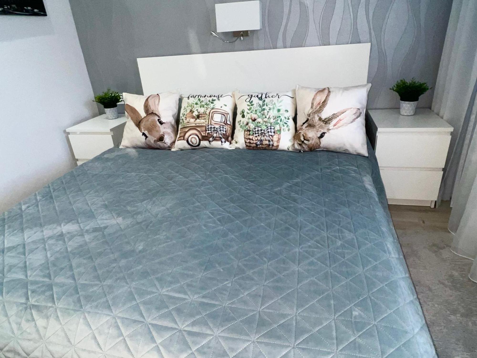 Downtown Dream Apartmans Szeged Esterno foto